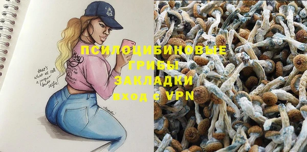 мдпв Новозыбков