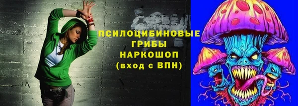 бошки Нягань