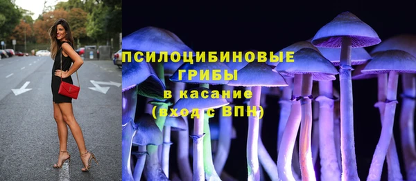 бошки Нягань
