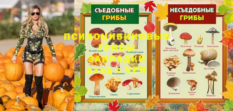 сколько стоит  Ужур  Галлюциногенные грибы Magic Shrooms 